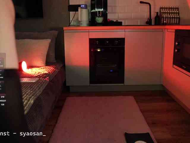 SyaoSan webcam