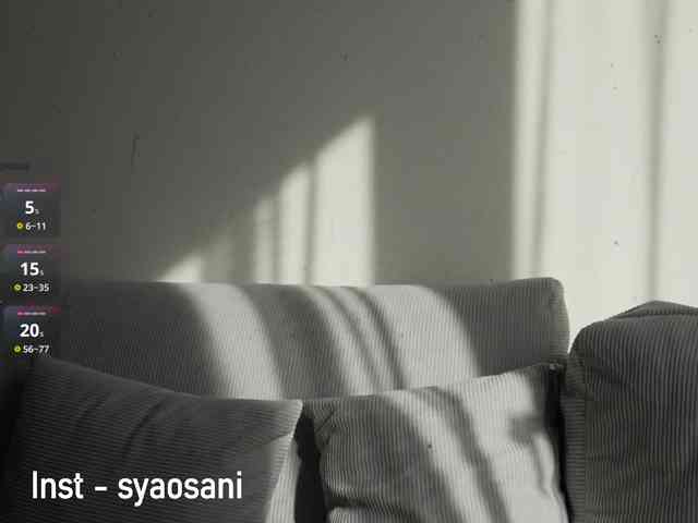 Модель: SyaoSan