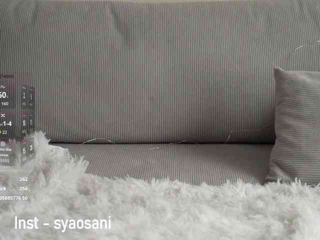 SyaoSan webcam