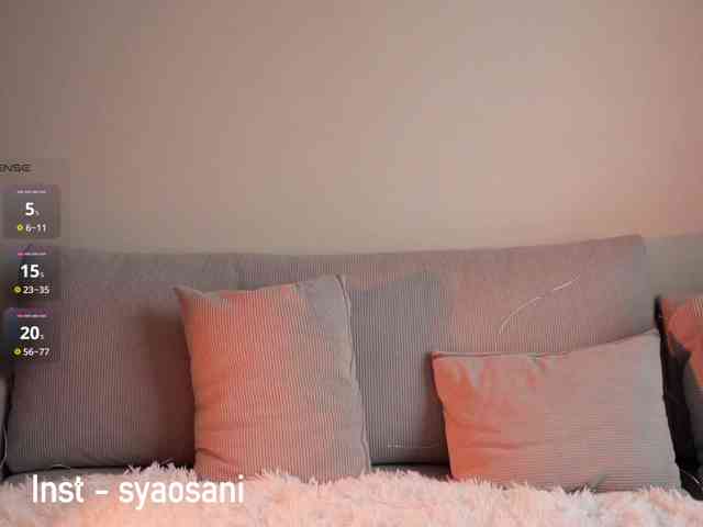 SyaoSan webcam