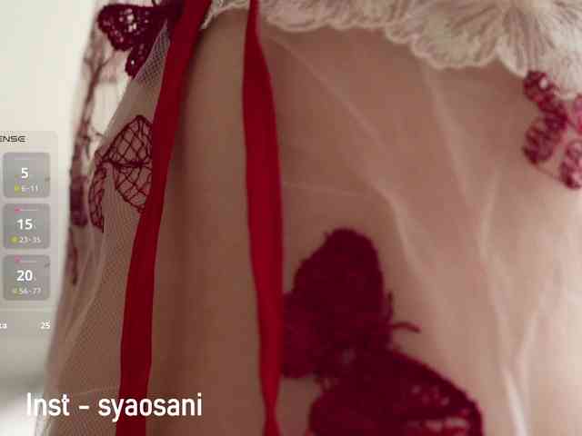 SyaoSan webcam