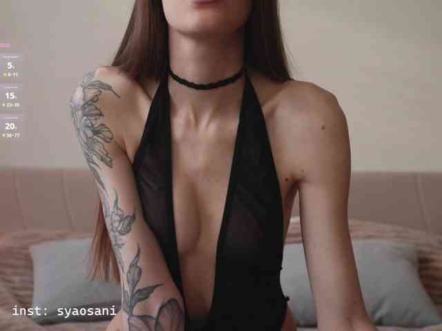 Модель: SyaoSan
