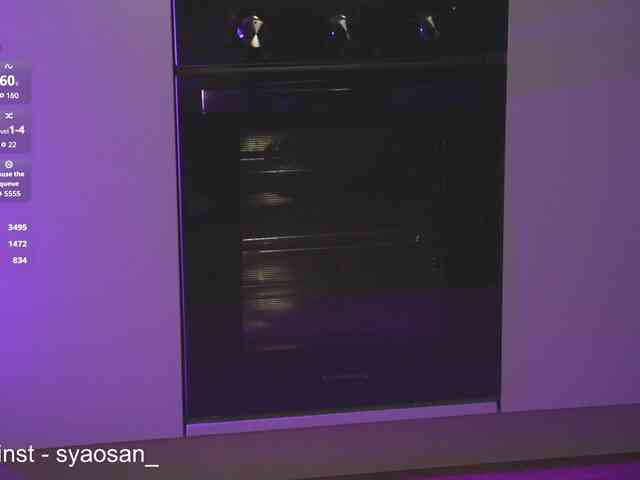 SyaoSan webcam