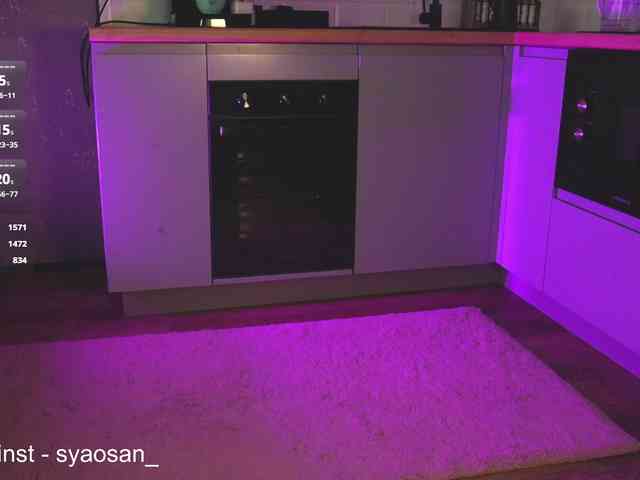 SyaoSan webcam
