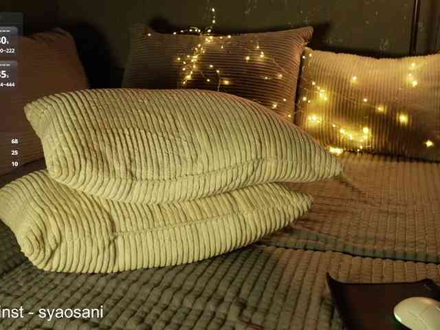 SyaoSan webcam