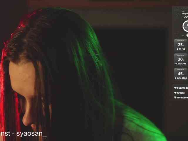 SyaoSan webcam