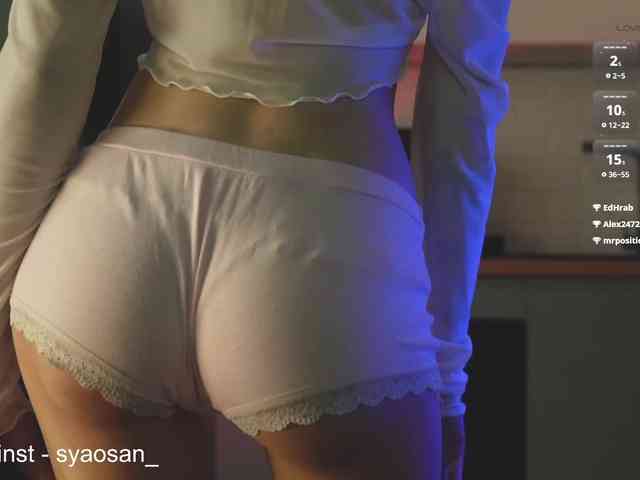 SyaoSan webcam