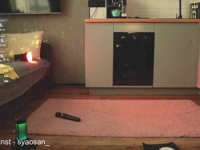 SyaoSan webcam