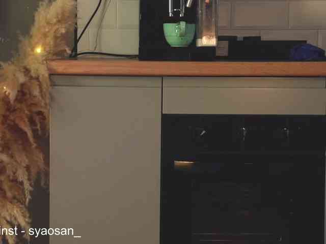 SyaoSan webcam