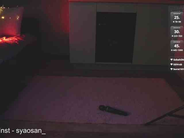 SyaoSan webcam
