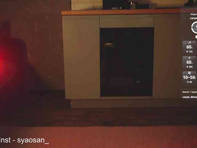 SyaoSan webcam