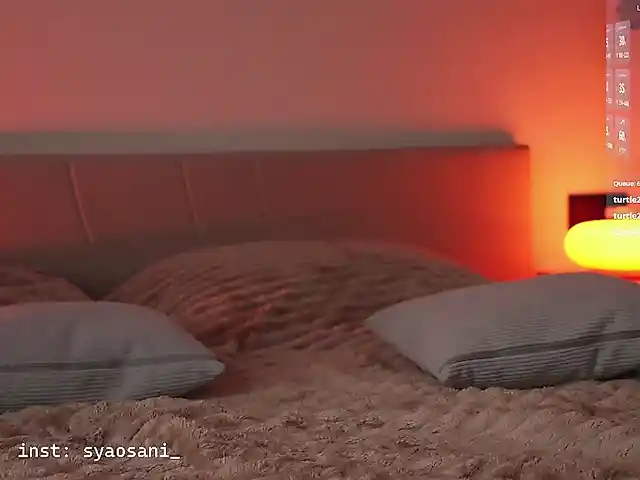 Damkiky