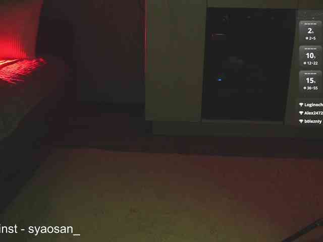SyaoSan webcam