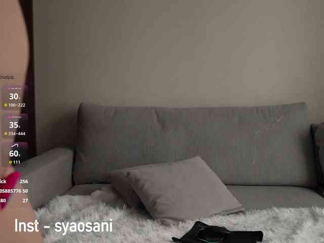 SyaoSan webcam