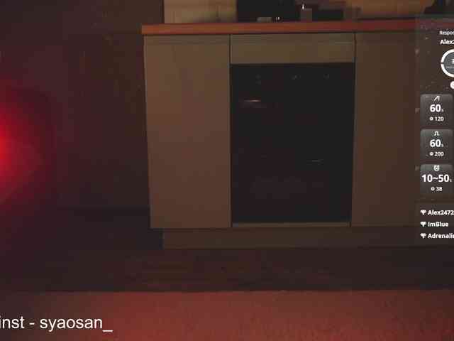 SyaoSan webcam