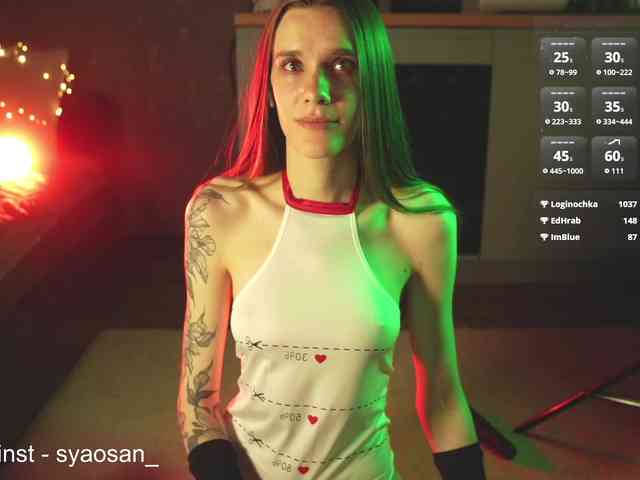 SyaoSan webcam