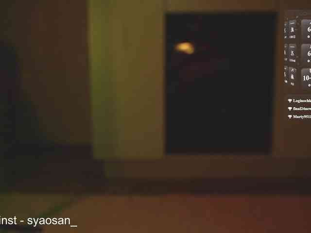 SyaoSan webcam