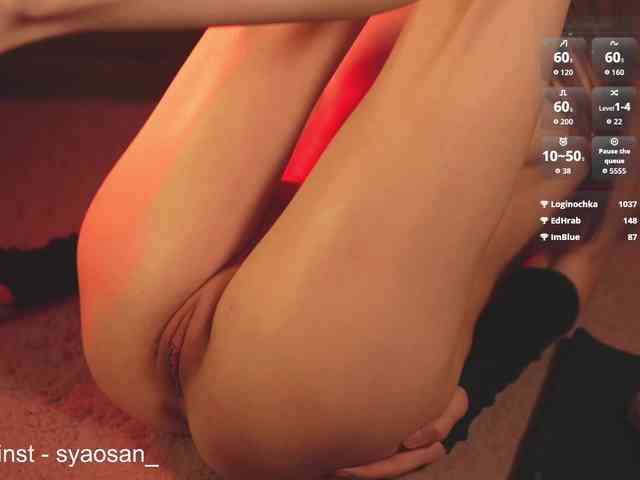 Модель: SyaoSan
