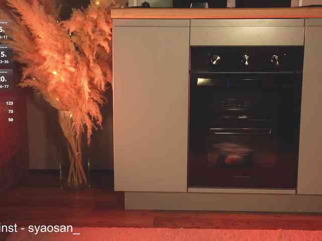 SyaoSan webcam