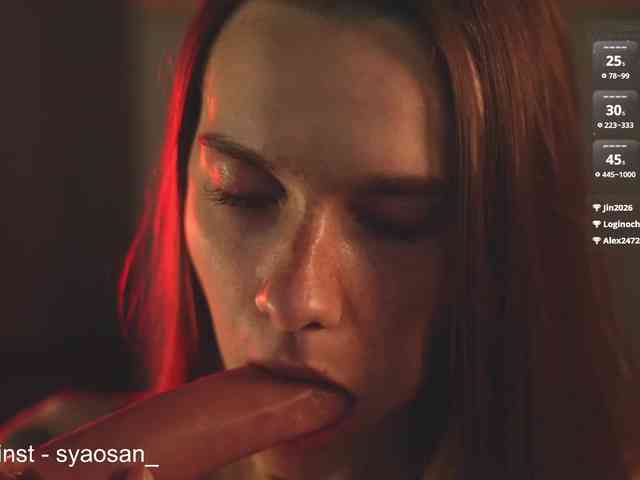 SyaoSan webcam