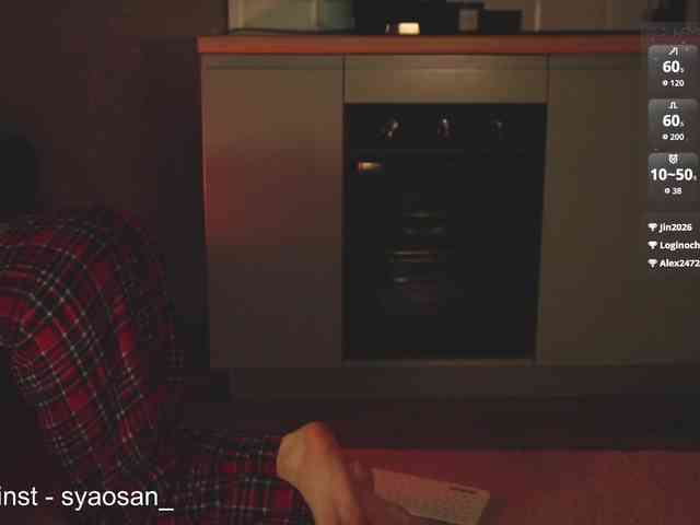 SyaoSan webcam