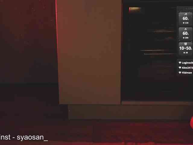 SyaoSan webcam