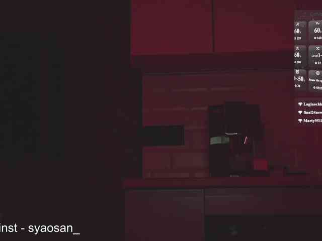 SyaoSan webcam