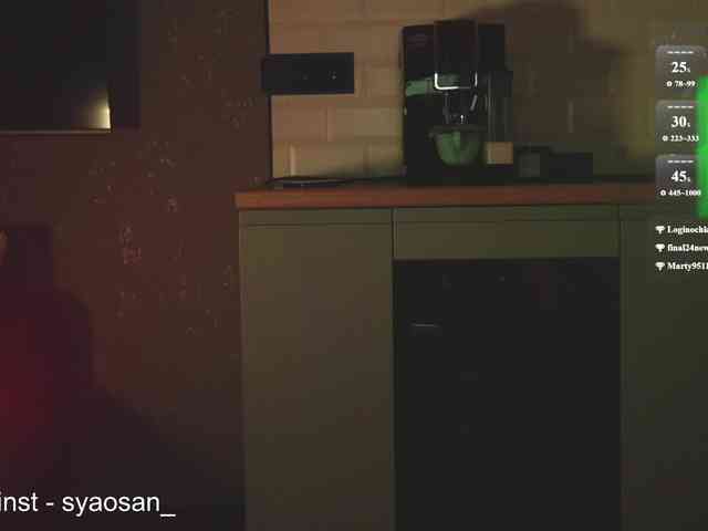 SyaoSan webcam