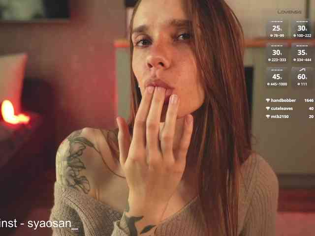 SyaoSan webcam