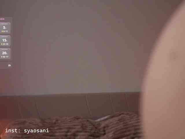 SyaoSan webcam