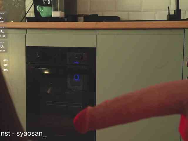 SyaoSan webcam