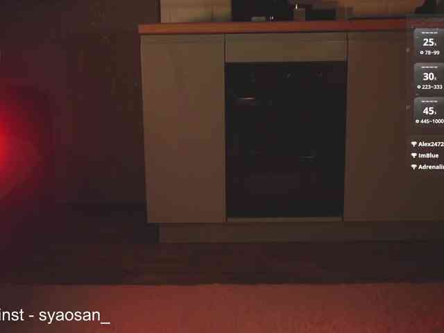 SyaoSan webcam
