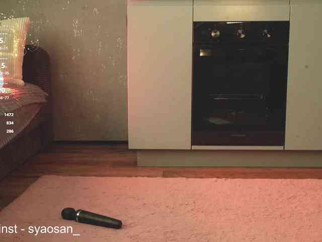 SyaoSan webcam