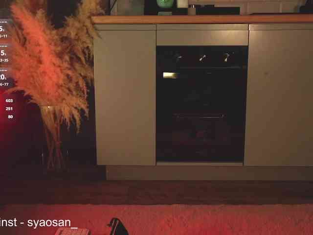 SyaoSan webcam