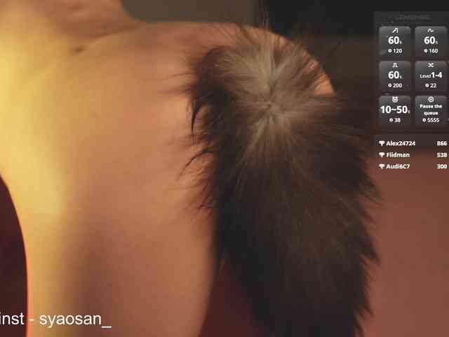SyaoSan webcam