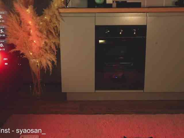 SyaoSan webcam