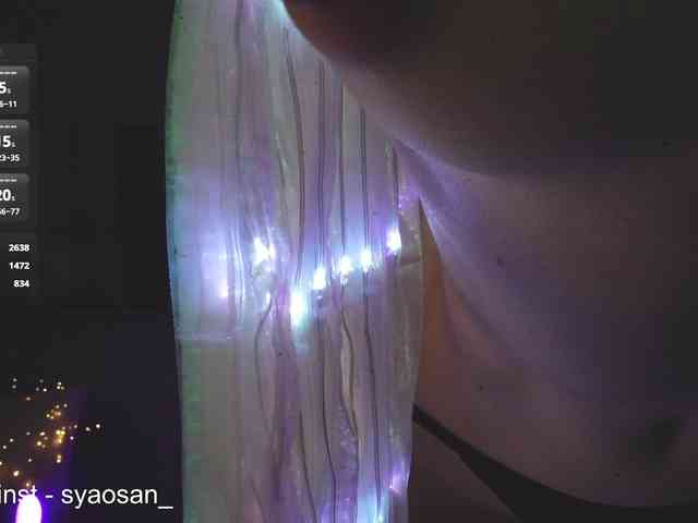 SyaoSan webcam