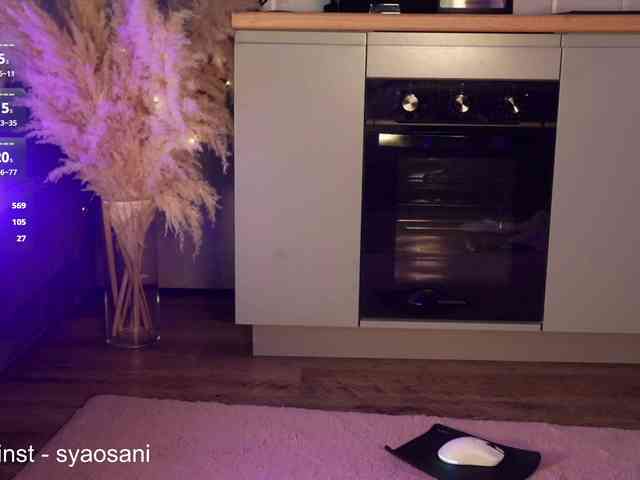 SyaoSan webcam