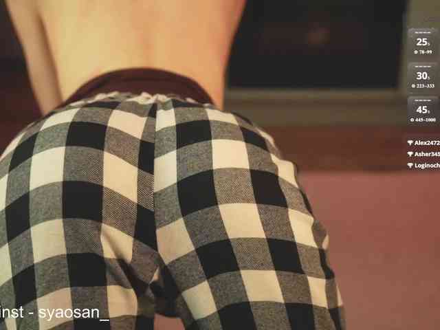 Model: SyaoSan