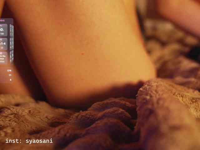 Модель: SyaoSan