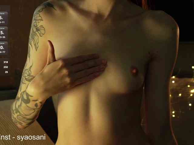 SyaoSan webcam