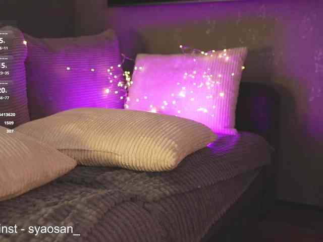 SyaoSan webcam