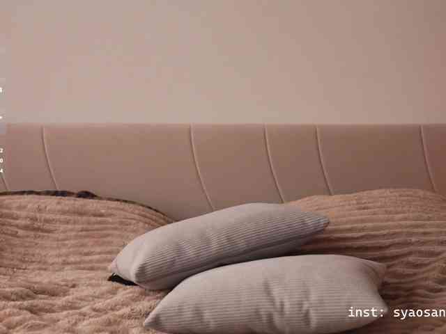 SyaoSan webcam