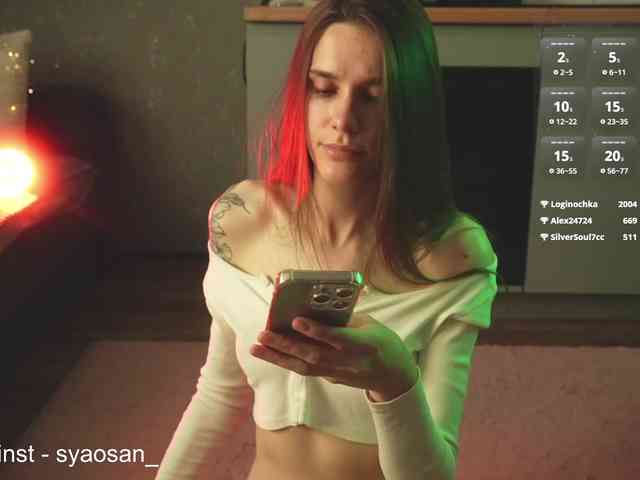 SyaoSan webcam