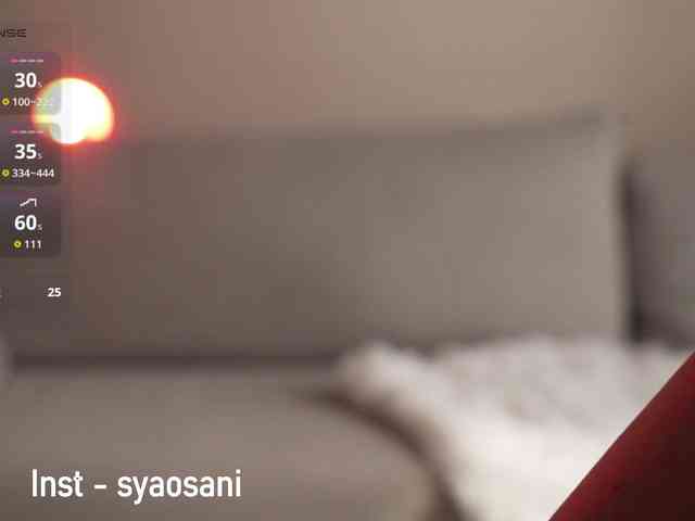 SyaoSan webcam