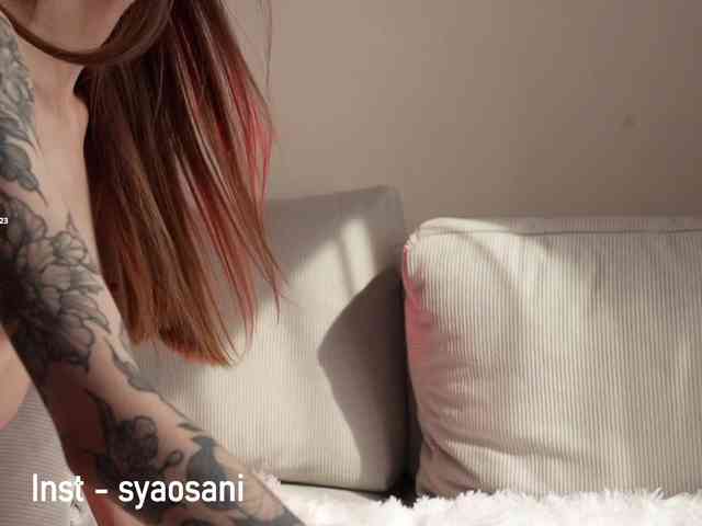 Model: SyaoSan