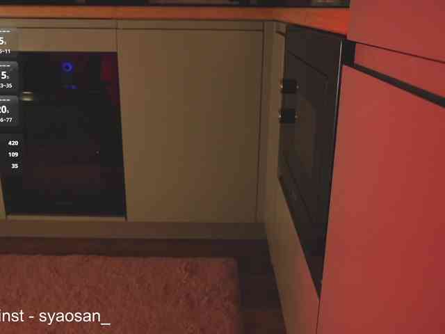 SyaoSan webcam