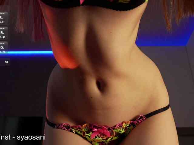 SyaoSan webcam