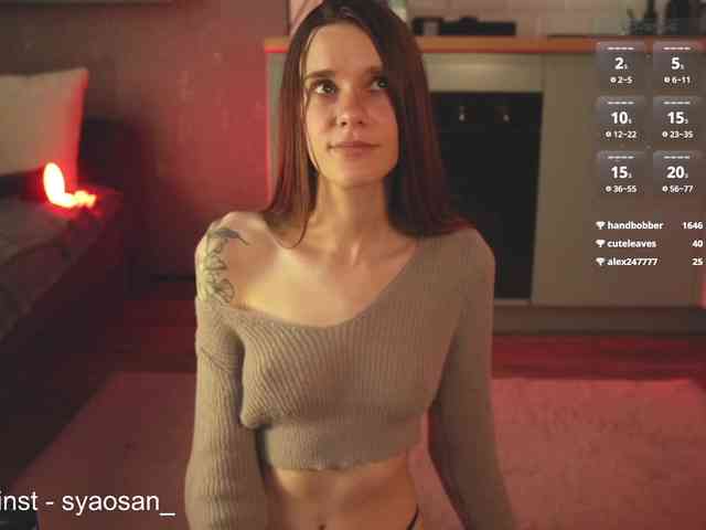 SyaoSan webcam