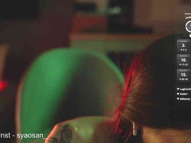 SyaoSan webcam